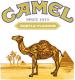 Avatar camel1